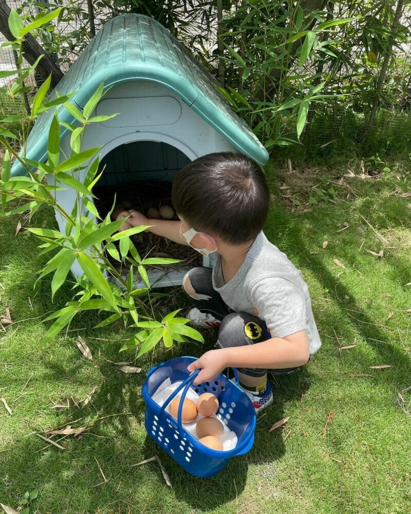 嘉義景點,親子景點果然茶香觀光園區