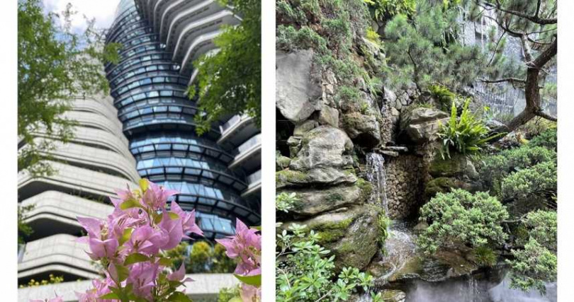 陶朱隱園」耗時超過3年打造生態庭園與7米高自然大瀑布，吸引藍雀、喜鵲、松鼠、蝴蝶等小動物棲息。（圖／中華工程提供）