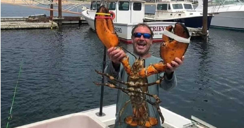 56歲的帕卡德去年赴麻州普羅威斯頓的鱈魚角鯡魚灣潛水捕捉龍蝦，被座頭鯨吞下肚。（圖／翻攝自臉書）
