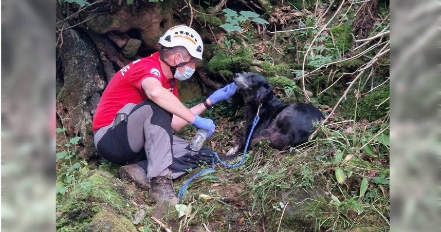 英國一名南子日前登山不慎墜崖昏迷，在寵物犬的幫助下平安獲救。（圖／翻攝自臉書／Cleveland Mountain Rescue Team）