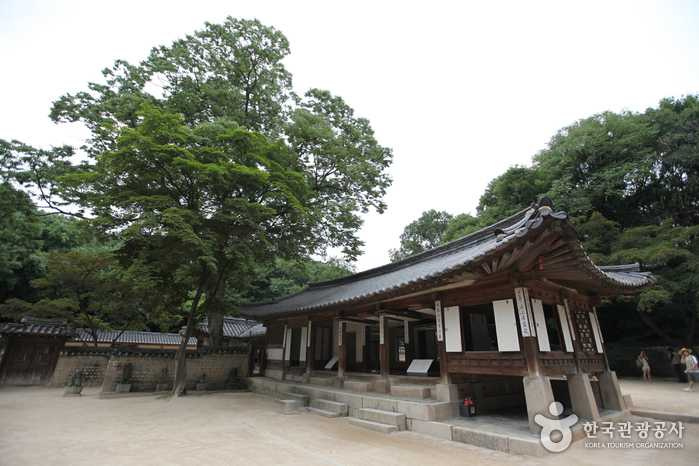 昌德宮也出現野豬出沒，因此取消夜間活動。（圖／翻攝自韓國觀光公社）