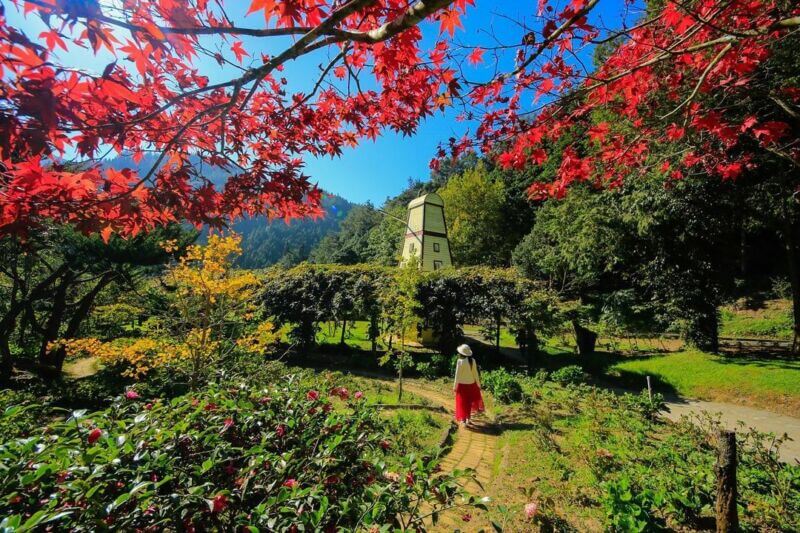 杉林溪森林生態渡假園區 賞楓景點