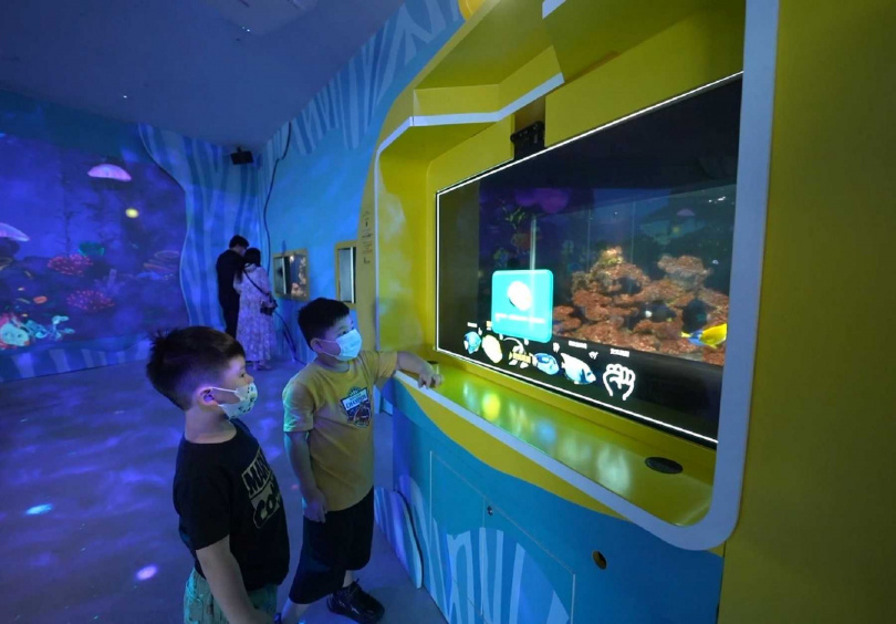 工研院的「我視AI魚缸」依據遊客注視方向，水族生物資訊即會呈現在顯示器上。（圖／工研院提供）