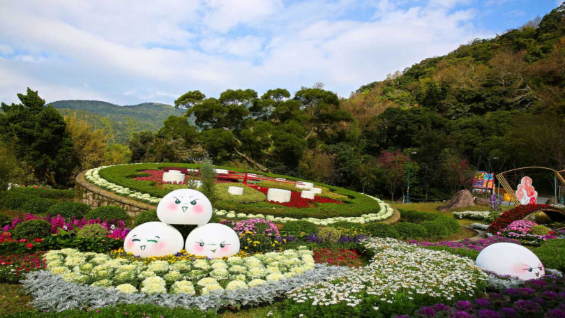 到陽明山公園賞花踏青。