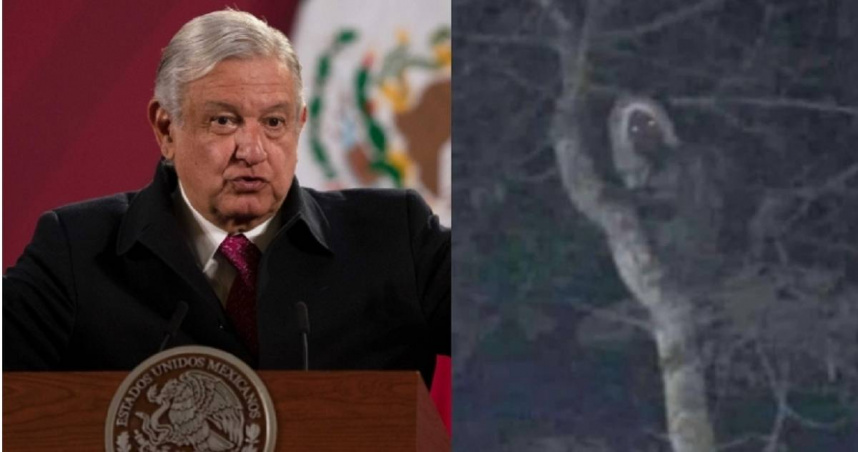 墨西哥總統發推稱拍到瑪雅傳說中的精靈。（組合圖／達志／美聯社／翻攝自推特）