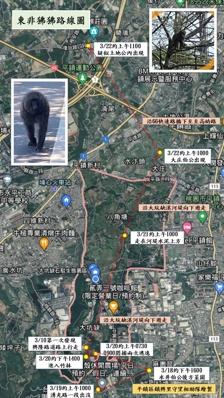 「東非狒狒」逃跑路線圖。（圖／翻攝自臉書）
