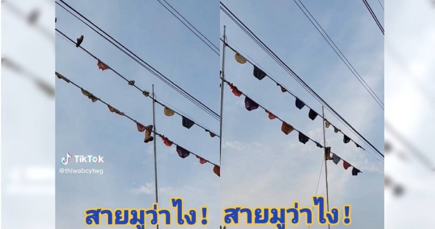 泰國一名63歲女子為了抗議建商在她的土地附近大舉施工，外加附近村莊的居民肆意排放有毒廢水，於是她將私人的30多件內衣褲高掛在土地上空，以此表達憤怒。（圖／翻攝自TikTok／@songthaow）