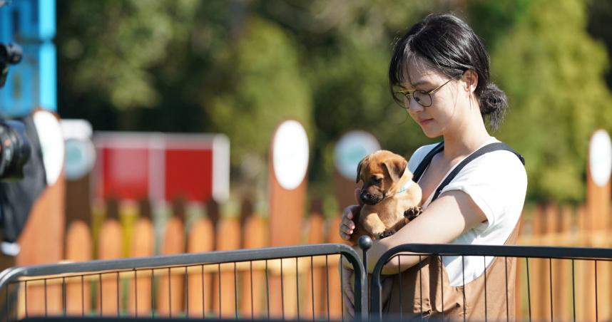 魏蔓參與真人寵物實境節目《TOP DOG回家》，重新點燃了她的「狗奴魂」。（圖／三立提供）