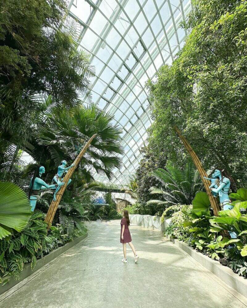 新加坡親子景點｜濱海灣室內花園｜新加坡景點
