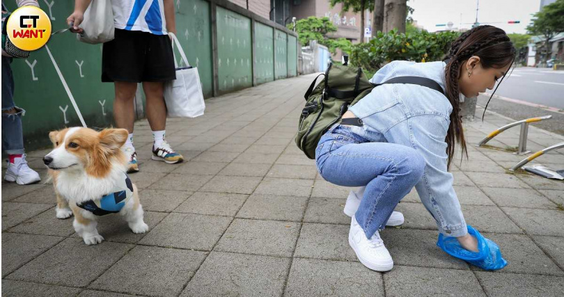 艾薇照顧Bobe非常注意衛生與健康問題，是個盡責的好飼主。（圖／侯世駿攝）