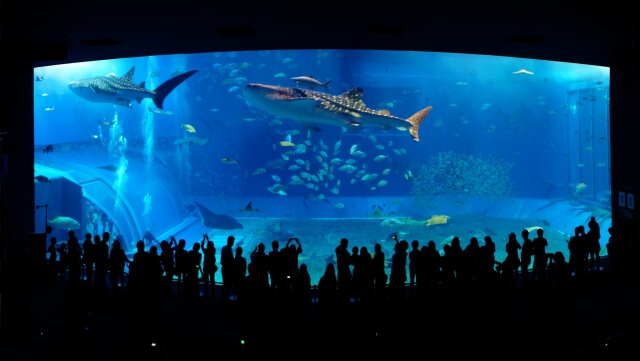 沖繩水族館