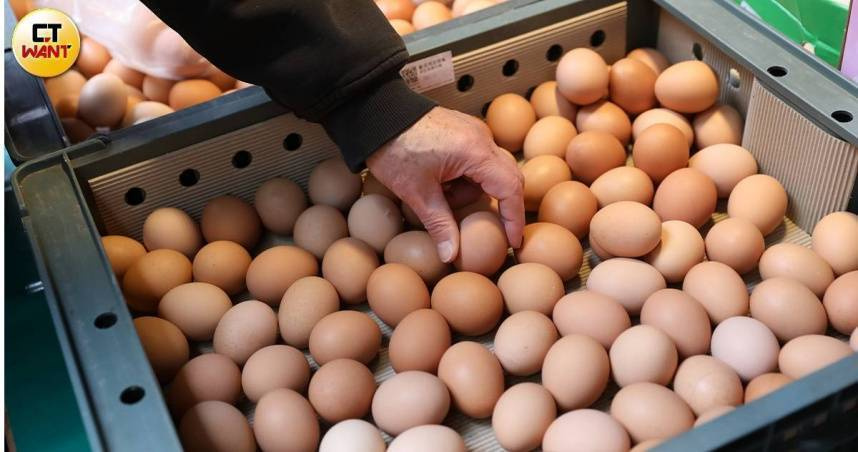雞蛋蛋價仍出現５字頭，低蛋價回不去。（圖／CTWANT攝）