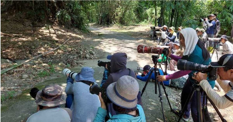 過龍脈步道的生態吸引許多人慕名而來，紛紛拿起「大砲」爭相拍攝。（圖／南投林管處提供）