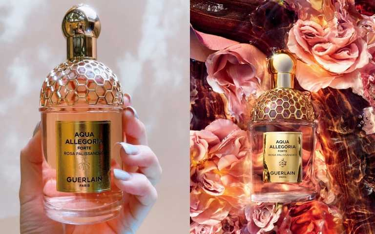 GUERLAIN花草水語 薔薇之木淡香精 75ml/4800元；125ml/6500元；200ml/7850元（圖／黃筱婷攝影、品牌提供）