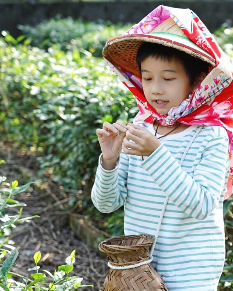 冬山景點｜內山休閒茶園