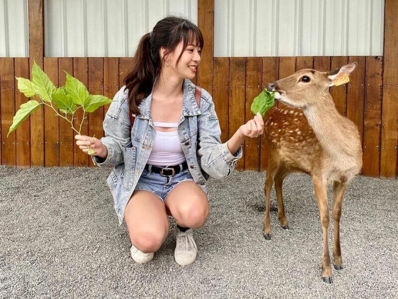 張美阿嬤農場