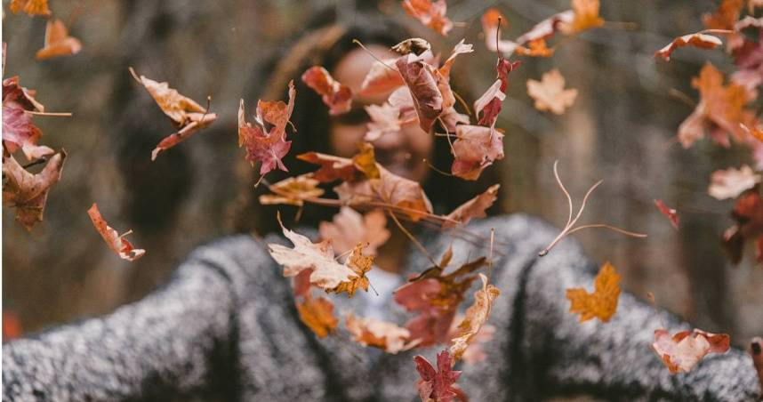 今天（8日）逢廿四節氣中的「白露」。（示意圖／Unsplash）