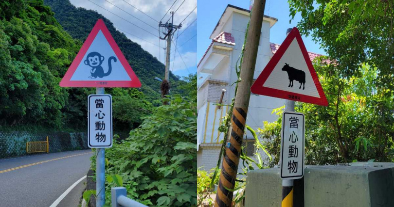 其他日本網友分享自己曾看過猴子、牛等等的路標。（圖／翻攝X）