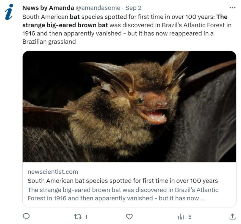 巴西研究人員2018年捕獲的蝙蝠，經鑑定為已經消失100多年的「奇異大耳棕蝠」。（圖／翻攝自ZooKeys）