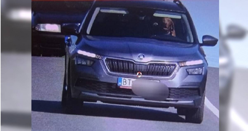 一隻狗在汽車行駛期間被拍到待在駕駛座，導致身兼車主的飼主遭到開罰。（圖／翻攝自「Polícia Slovenskej republiky」臉書）