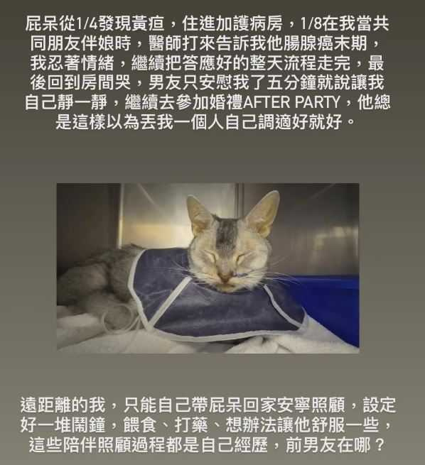 林吟蔚愛貓罹癌逝世，前男友的態度都不管不顧。（圖／翻攝自IG）