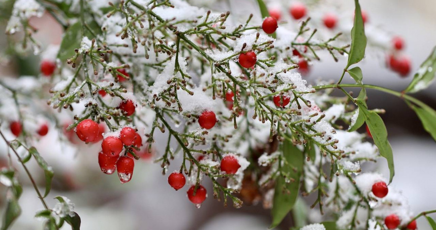 「小雪」食衣住行育樂開運養生與禁忌。 （圖／取自pixabay）