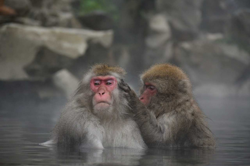 網友本來想去愜意泡溫泉，沒想到看到整間房間都發霉。（示意圖／翻攝自pixabay）