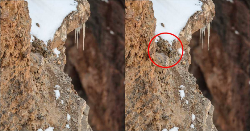 於大片白雪的下方，有隻雪豹趴在淺棕色的岩石中間，並盯著鏡頭。（圖／翻攝自Reddit）