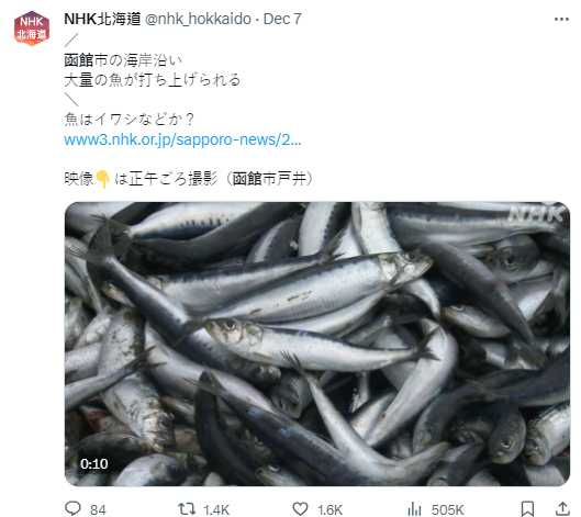 海浪仍不斷沖來更多沙丁魚屍體。（圖／翻攝自推特）