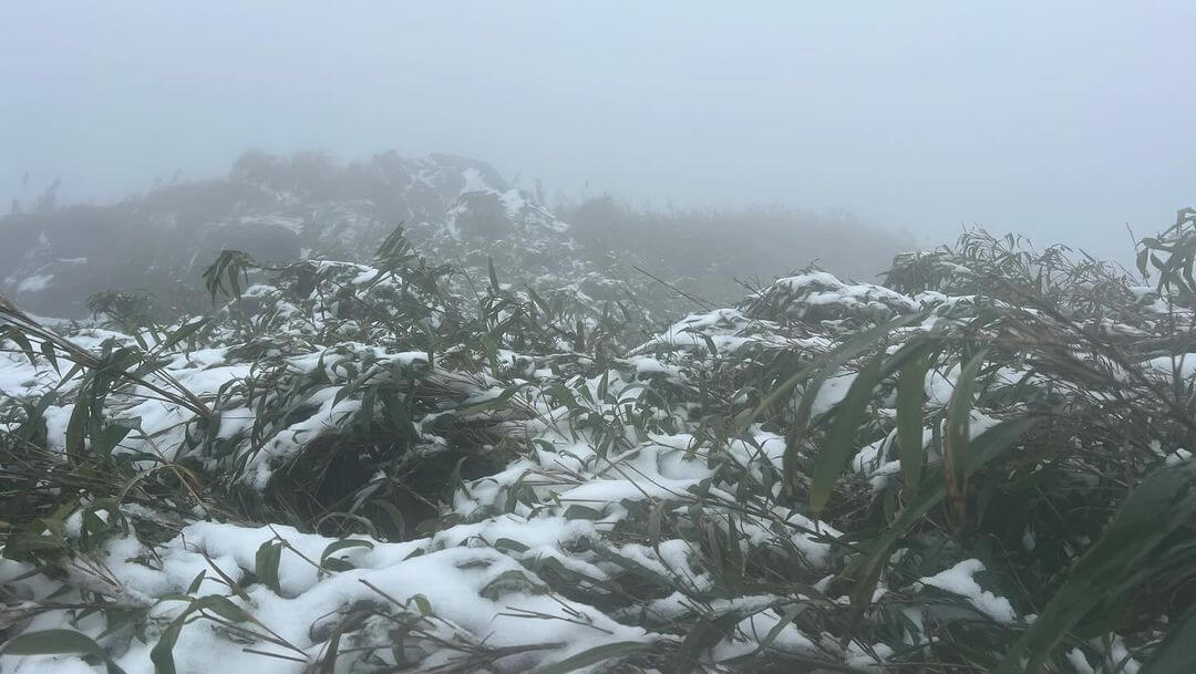 全台賞雪勝地｜七星山｜一起等待初雪降臨