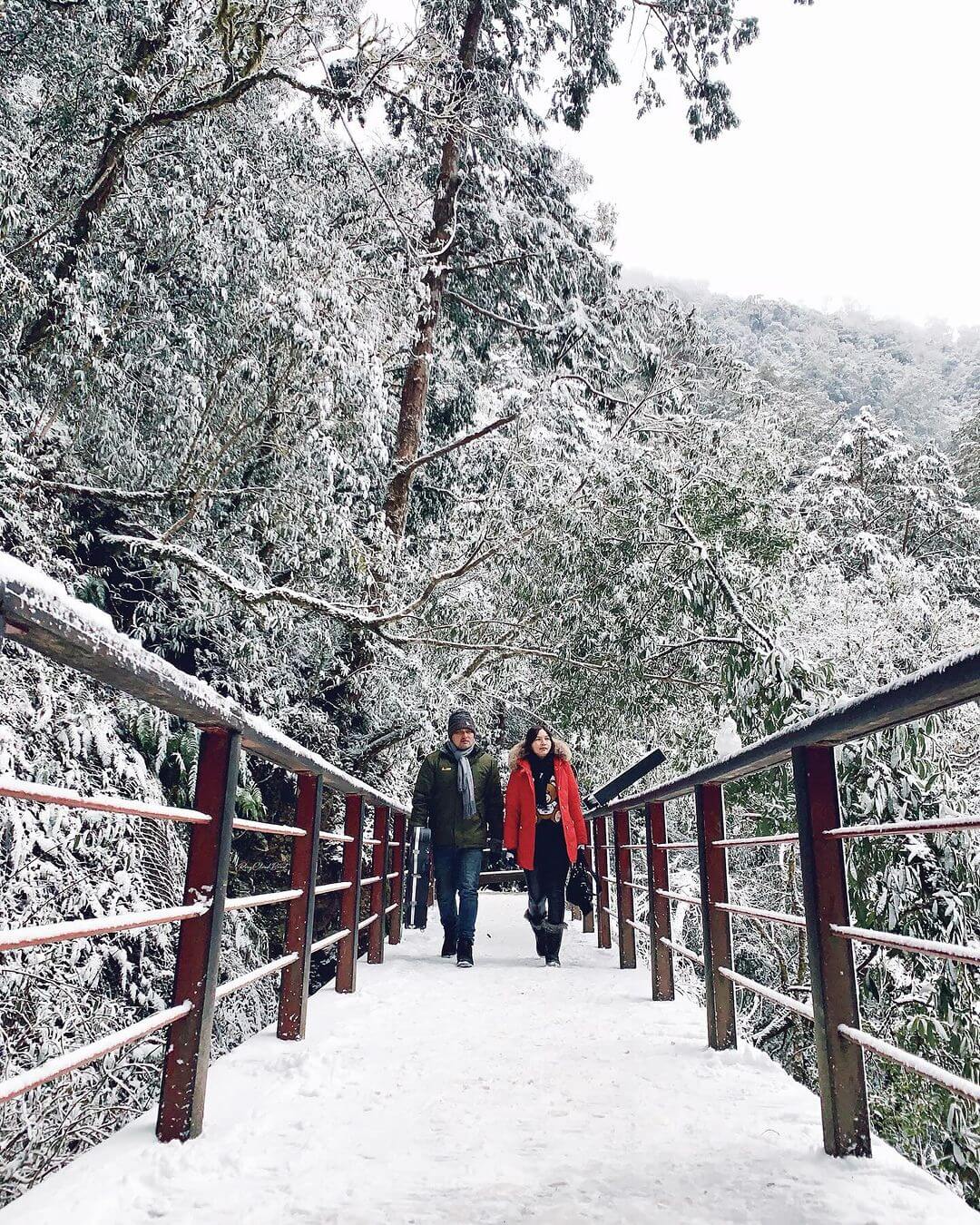 全台賞雪勝地｜拉拉山｜一起等待初雪降臨