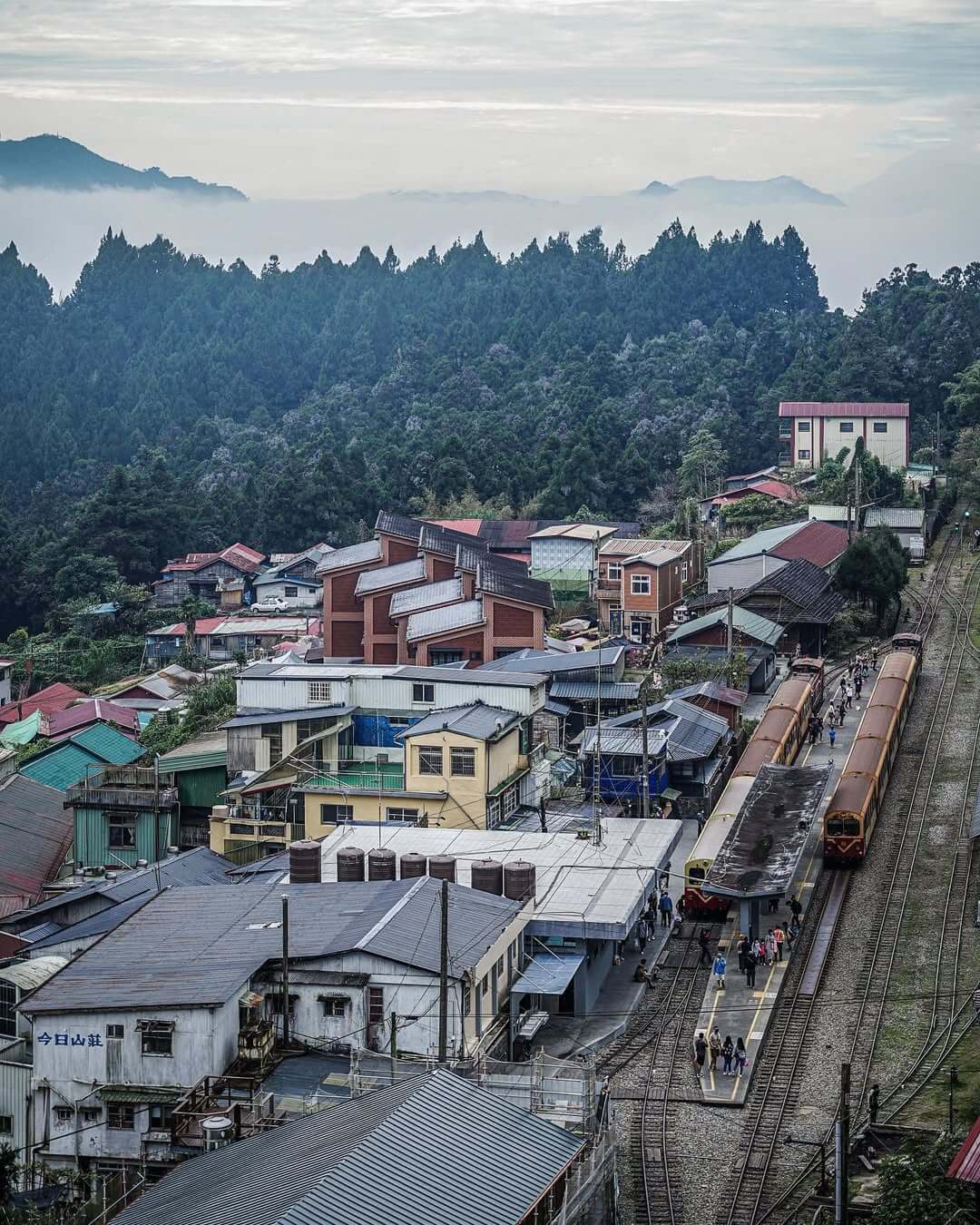 嘉義走春景點｜2025嘉義走春景點，雲海秘境、鐵道風情、部落探索，蛇年來嘉義～一起「蛇來蛇去」行大運。